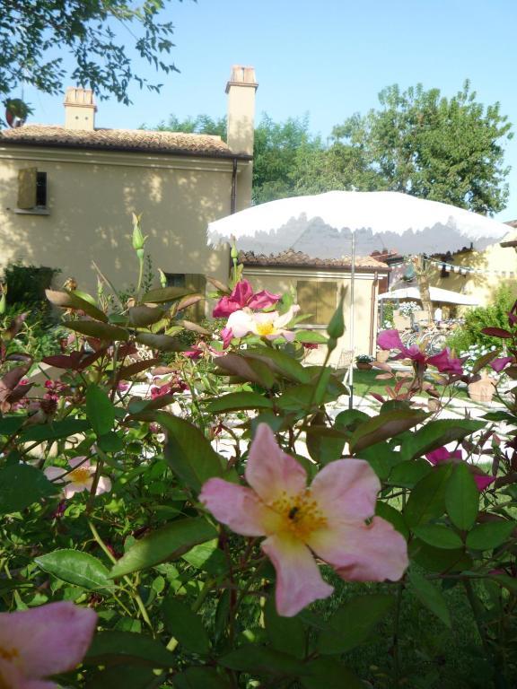 Casina Le Conserve Cesenatico Camera foto